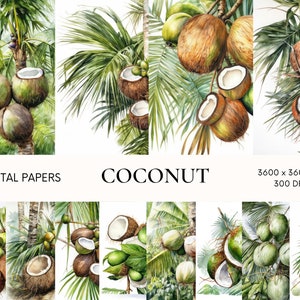 Papel digital de coco, download instantâneo de coco, uso comercial, fundo digital de coco, papel de coco, papel de coco, papel para scrapbook