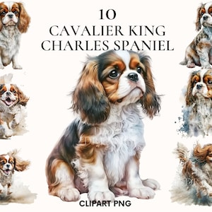 Clipart de cavalier em aquarela, pacote de clipart de cachorro bonito cavalier king charles spaniel, clipart de cachorro em aquarela, PNG para impressão, álbum de recortes