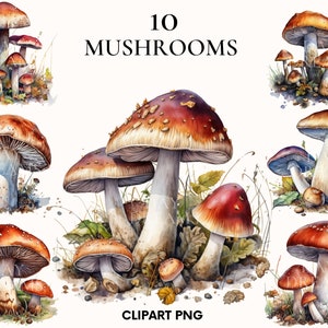 Clipart de champignon aquarelle, paquet de clipart de nourriture, clipart de champignon délicieux, png de champignons, artisanat en papier, Scrapbooking, Junk journal