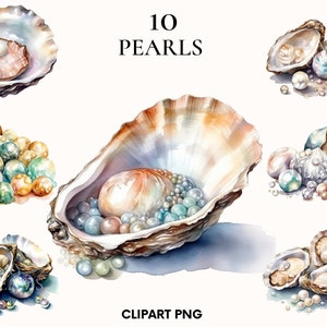 Aquarelle perle clipart, clipart plage, clipart nautique, clipart océan, clipart mer, Scrapbook, png perle, png coquillage, fabrication de cartes