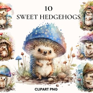 Clipart de ouriço em aquarela, pacote de clipart de animais da floresta fofo, clipart de animais da floresta, png para impressão, artesanato em papel, Junk Journal