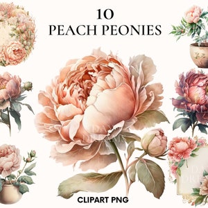 Aquarell Pfirsich Pfingstrosen Clipart, Frühling Hochzeit Blumen Clipart Bündel, Blütenblätter, Printable, Kartenherstellung, Scrapbooking, Junk Journal
