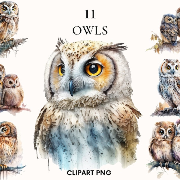 Aquarelle hibou clipart, clipart chouette bébé doux, Woodland animal clipart, clipart pépinière, PNG imprimable, Téléchargement instantané, Artisanat en papier