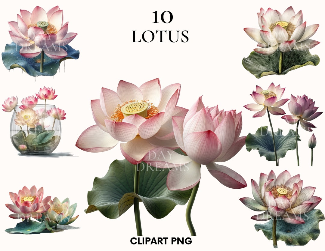 Watercolor Lotus Clipart, Flower Clipart, Wedding Clipart, Flowers