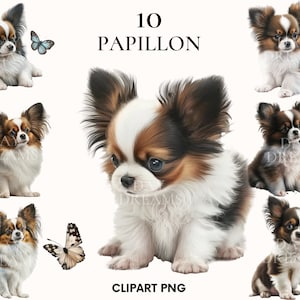 Imágenes prediseñadas de papillon de acuarela, paquete de imágenes prediseñadas de papillon de cachorro lindo, imágenes prediseñadas de mascotas, imágenes prediseñadas de perro de acuarela, Papillon png, álbum de recortes, diario basura