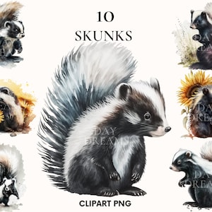 Watercolor skunks clipart, Cute skunk with sunflowers clipart bundle, Woodland animal clipart, Nursery clipart, Wall art png, Scrapbooking