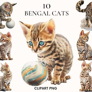 Bengal cat clipart, Kitten clipart bundle, Pet clipart, Watercolor bengal cat png, Cute cat clipart, scrapbook, Junk journal, Card making
