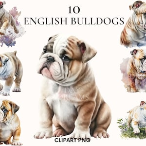 English bulldog clipart, Cute puppy bulldog clipart bundle, Pet clipart, Watercolor dog clipart, Scrapbooking, Junk Journal, Card making
