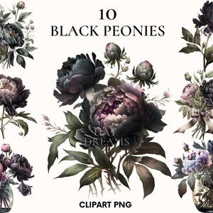 Watercolor black peonies clipart, Spring flowers clipart bundle, Flower petals, Black flower clipar, Printable, Card making, Scrapbooking