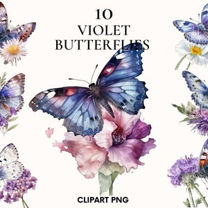 Aquarell Schmetterling Clipart, süße Schmetterling Clipart Bundle, Frühling Motte Clipart, violette Schmetterling png, Blumen Clipart, Junk Journal