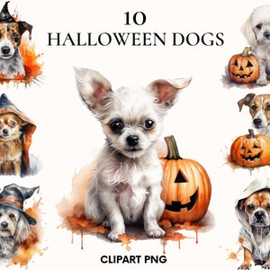 Halloween Hund Clipart, Hund Clipart Bundle, Doglover Clipart, Hund png, beängstigend Hund png, lustige Cliparts, Halloween png, Scrapbook, Junk Journal