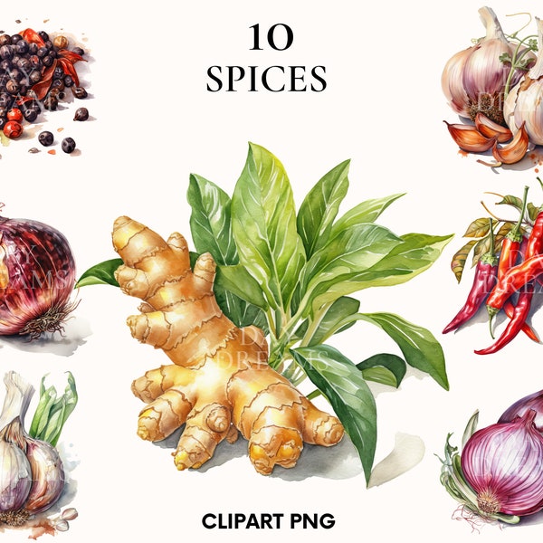 Watercolor spices clipart, Food clipart bundle, Ginger clipart, Spice png, Pepper clipart, Onion png, Paper craft, Scrapbook, Junk journal