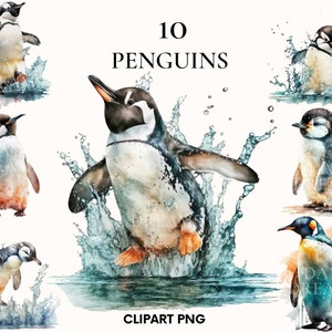 Imágenes prediseñadas de pingüino feliz acuarela, paquete de imágenes prediseñadas de pingüino bebé, imágenes prediseñadas de animales del océano, uso comercial gratuito, diseño digital, Scrapbooking