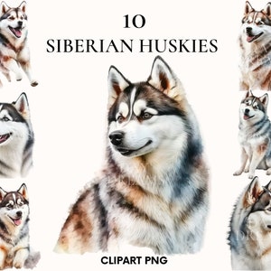 Aquarel Siberische husky clipart, schattige hond clipart bundel, puppy hond clipart, afdrukbare PNG, papier ambachtelijke, pluizige hond png, scrapbooking