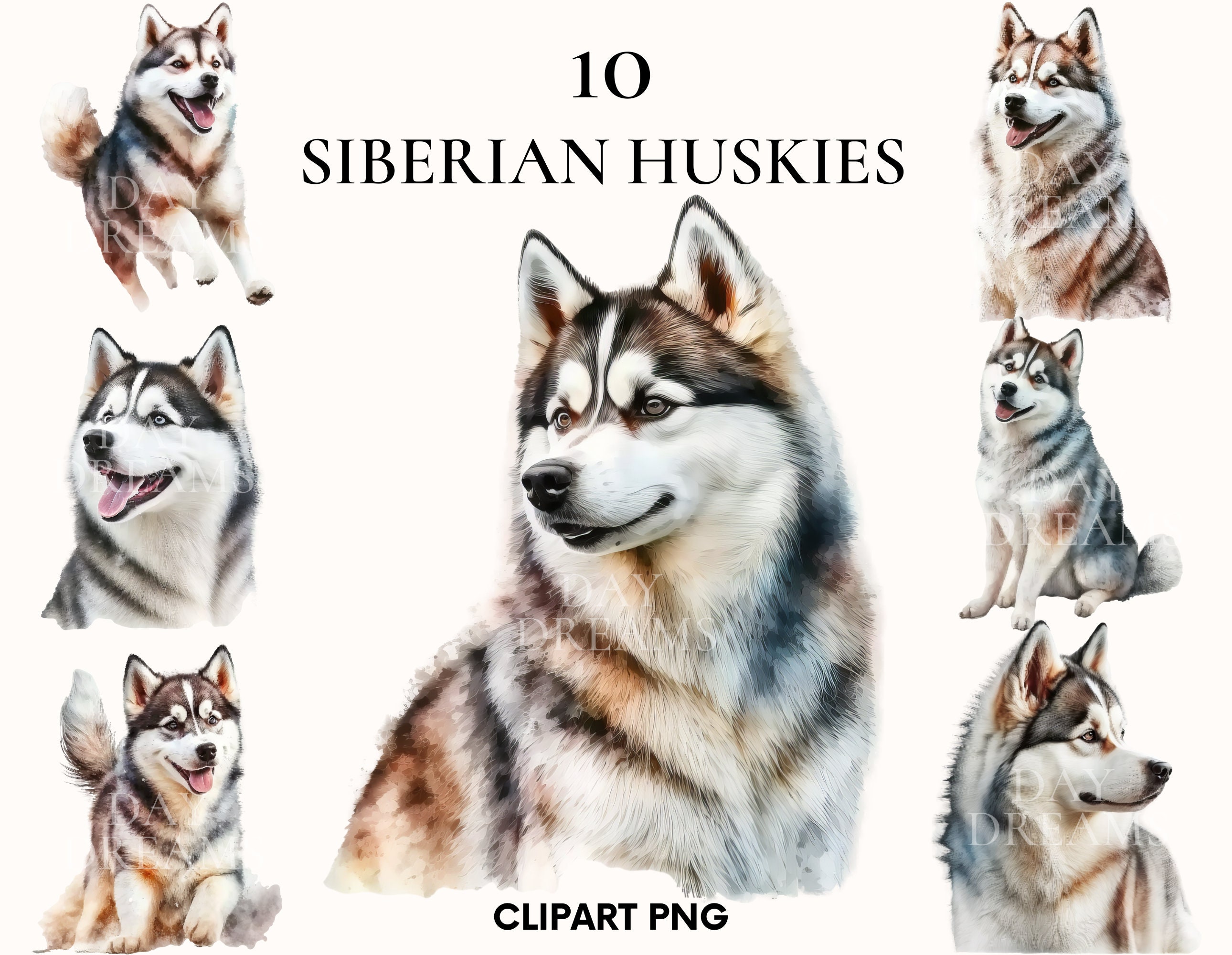 Watercolor Siberian Husky Clipart, Cute Dog Clipart Bundle, Puppy Dog ...