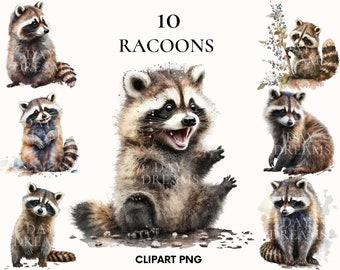 Watercolor racoon clipart, Cute baby animal clipart bundle, Woodland animals clipart, Digital download, Printable PNG, Baby racoon png