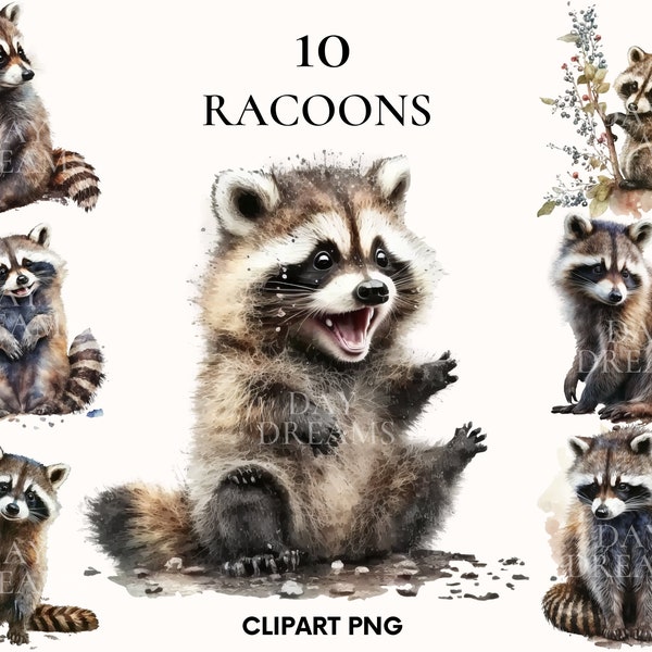 Watercolor racoon clipart, Cute baby animal clipart bundle, Woodland animals clipart, Digital download, Printable PNG, Baby racoon png