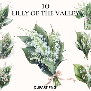 Lilly of the valley clipart, clipart mariage, printemps et été fleurs clipart, impression botanique, imprimable PNG, Scrapbook, fabrication de cartes