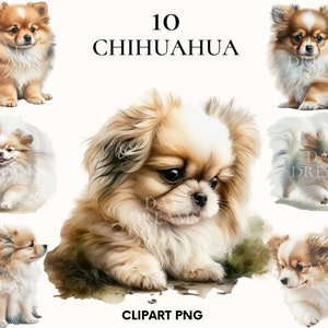 Chihuahua clipart, Cute puppy chihuahua clipart bundle, Pet clipart, Watercolor chihuahua dog clipart, Scrapbooking, Junk Journal