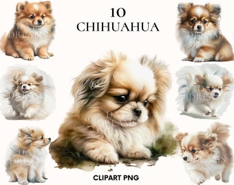 Chihuahua clipart, Cute puppy chihuahua clipart bundle, Pet clipart, Watercolor chihuahua dog clipart, Scrapbooking, Junk Journal