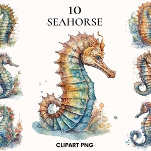 Clipart hippocampe aquarelle, clipart plage, bundle clipart nautique, clipart océan, clipart mer, Scrapbook, png hippocampe, fabrication de cartes