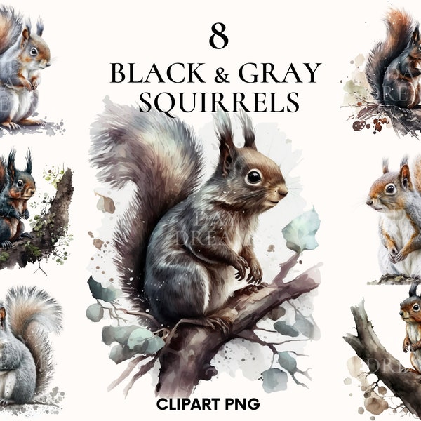 Watercolor black squirrel clipart, Cute gray squirrel clipart bundle, Nursery clipart, Woodland animals clipart, Forest, Animal clipart