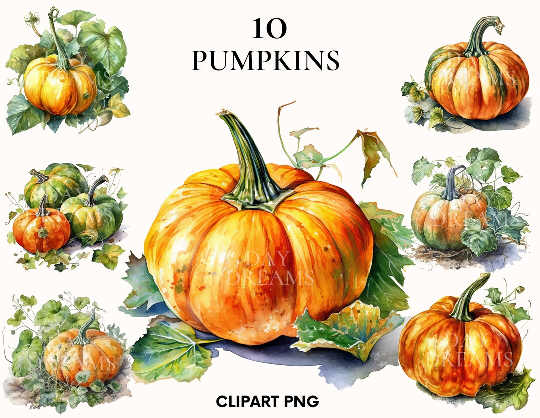 Watercolor Pumpkin Clipart, Autumn Clipart Bundle, Fall Clipart ...