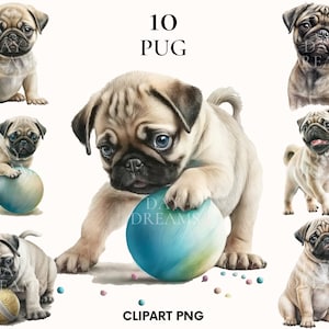 Pug clipart, Puppy pug clipart bundle, Pet clipart, Watercolor Pug dog clipart, Pug png, House animal clipart, Scrapbook, Junk journal