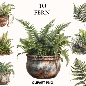 Clipart de fougère aquarelle, Bundle de clipart de verdure, clipart de plante de maison, png de verdure, clipart de plante, png de fougère, clipart de forêt, scrapbooking