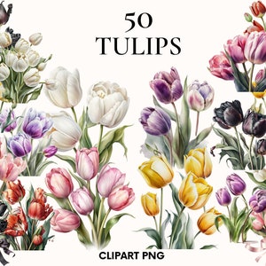 Tulips clipart, Spring wedding flowers clipart bundle, Watercolor tulip png, Easter flowers, Flower clipart, Card making, Scrapbooking