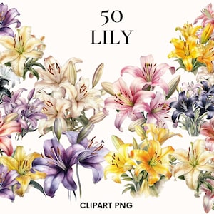 Lily clipart, Flower clipart, Wedding clipart, Floral clipart, Botanical print, Watercolor lily, Printable PNG, Scrapbook, Junk journal