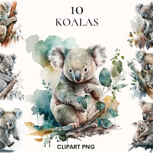 Watercolor koala bear clipart, Koalas clipart bundle, Wild clipart, Zoo animal clipart, Australia, Paper craft, Junk Journal, Scrapbooking