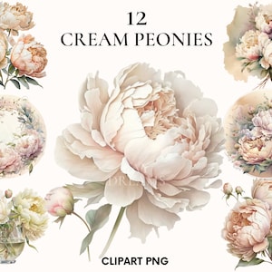 Aquarell Creme Pfingstrosen Clipart, Frühling Hochzeit Blumen Clipart Bündel, Blütenblätter, Printable, Kartenherstellung, Scrapbooking