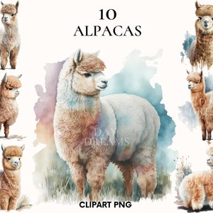 Watercolor alpaca clipart, Cute llama clipart bundle, Wild animal clipart, Baby alpaca png, Paper craft, Junk Journal, Scrapbooking
