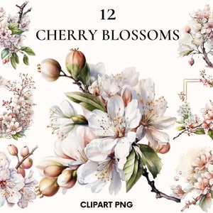 Clipart de flor de cerejeira, clipart de moldura de foto, clipart de casamento, clipart de flores de primavera e verão, impressão botânica, PNG para impressão, álbum de recortes