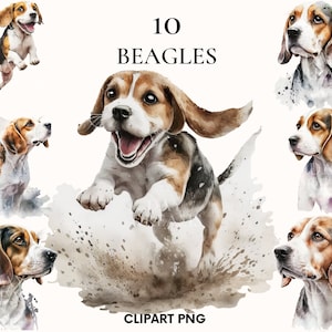 Aquarell Beagle Clipart, süße Welpen Hund Clipart Bundle, Kinderzimmer Clipart, Wandkunst, Scrapbooking, Kartenherstellung, Junk Journal, Wandkunst