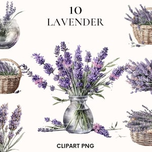 Lavender clipart, Lavender flowers clipart, Wedding clipart, Watercolor lavender clipart, Botanical clipart, Printable PNG, Scrapbook