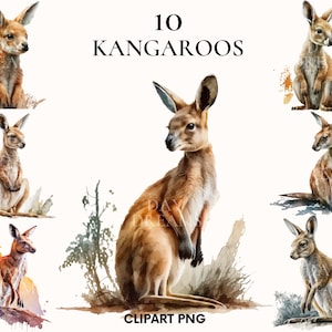 Watercolor kangaroo clipart, Cute kangaroos clipart bundle, Wild animal, Baby kangaroo png, Card making, Junk Journal, Scrapbook