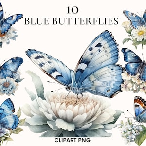 Aquarell Schmetterling Clipart, süße Schmetterling Clipart Bundle, Frühling Motte Clipart, blauer Schmetterling png, Blume Clipart, Junk Journal