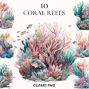 Watercolor coral reef clipart, Beach clipart, Nautical clipart bundle, Ocean clipart, Sea clipart, Scrapbook, Seashell png, Card making