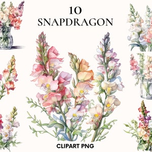 Clipart de muflier aquarelle, paquet de clipart de fleur de mariage, png de fleur, png de muflier, imprimable, fabrication de cartes, scrapbooking, journal indésirable