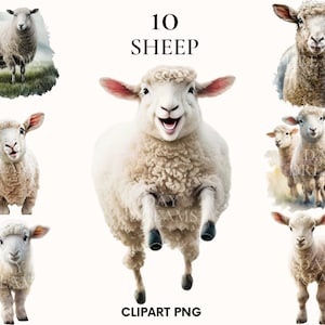 Clipart di pecore dell'acquerello, pacchetto di clipart di pecore felici, clipart di animali da fattoria, png di pecore, png di animali di primavera, clipart di estate, png di fattoria