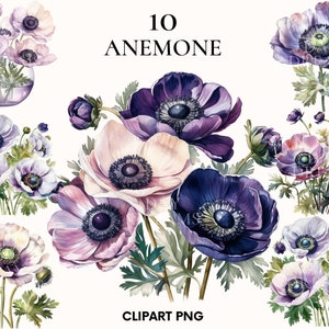 Aquarell Anemone Clipart, Blumen Clipart, Hochzeit Clipart, violette Blume png, botanischer Druck, Anemone png, Scrapbook, Kartenherstellung