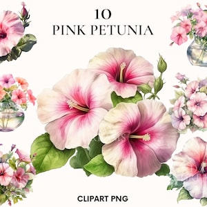 Pink petunia clipart, Pink flower clipart, Wedding clipart, Floral clipart, Botanical print, Watercolor petunia, Spring flower, Scrapbook