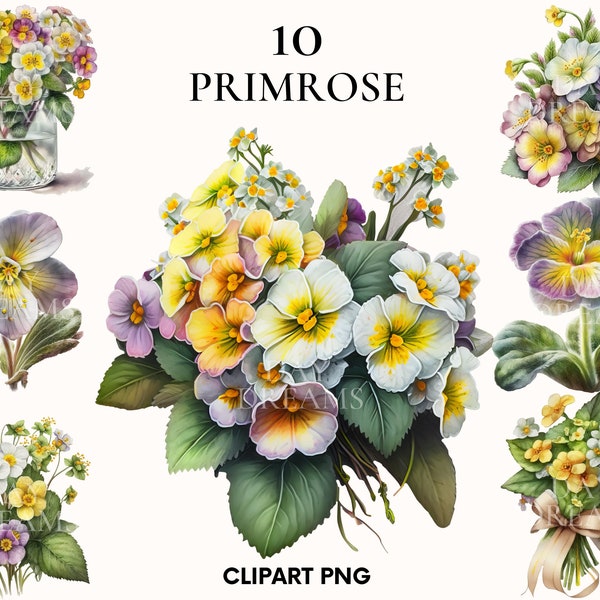 Aquarelle primevère clipart, clipart fleur, printemps clipart, fleur jaune png, impression botanique, primevère png, mariage clipart, Scrapbook