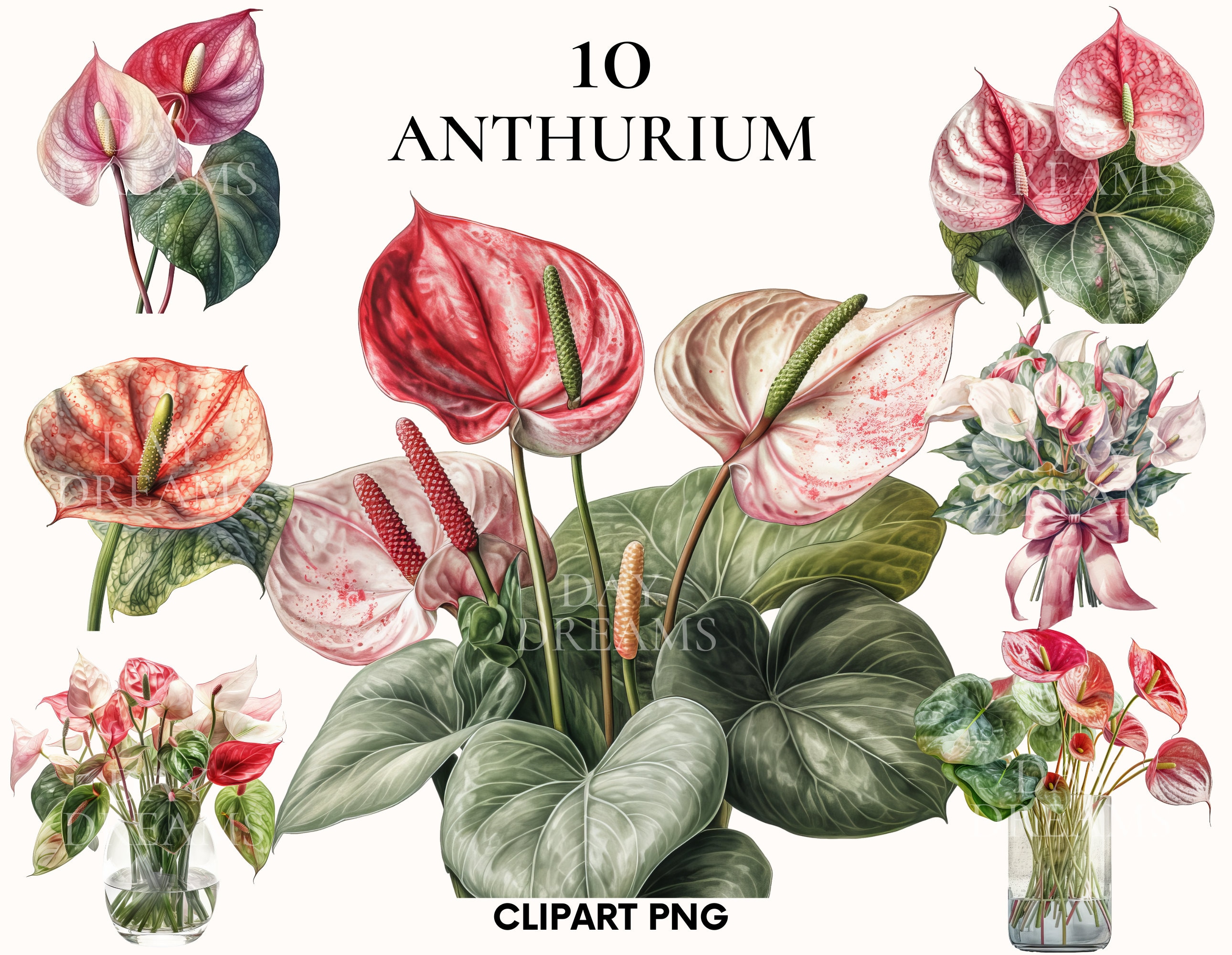 アンスリウム　水彩画 Anthurium - Etsy 日本