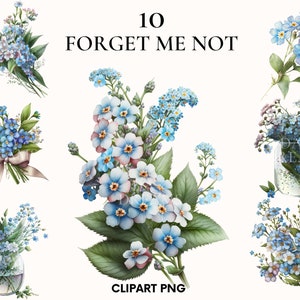 Aquarelle ne m'oubliez pas des cliparts, printemps mariage fleurs clipart bundle, pétales de fleurs, imprimable PNG, fabrication de cartes, Scrapbooking