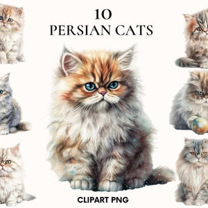 Clipart chat persan, lot de cliparts chat aquarelle, clipart chaton, chaton persan, fabrication de cartes, png chat persan, amoureux des chats, journal indésirable