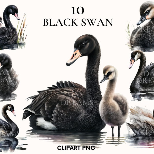 Watercolor black swan clipart, Sweet baby black swan clipart, Woodland animal clipart, Nursery clipart, Printable PNG, Paper craft