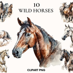 Aquarell Pferd Clipart, wilde Pferde Clipart Bündel, galoppierende wilde Pferde, Pferd png, wilde Tiere Kartenherstellung, Papierhandwerk, Scrapbook